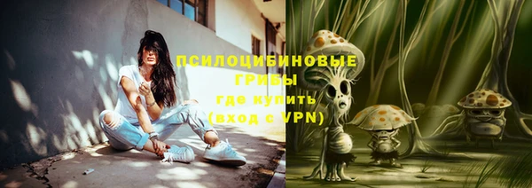 бошки Армянск