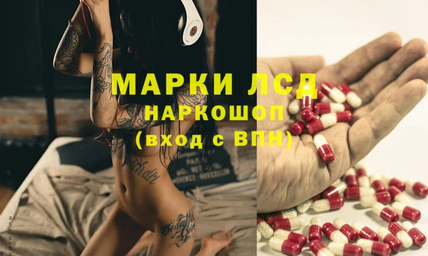 гашик Арсеньев